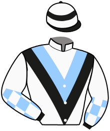 Gin Syndicate