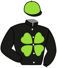 Luck of The Irish Stables, Llc