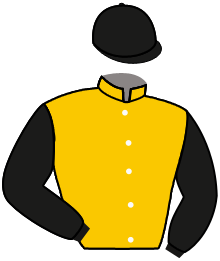 Hive Racing Stables, Llc