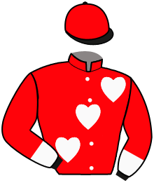 Rigney Racing, Llc (Richard Rign
