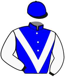 Y. Desmet (Bel)
