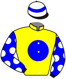 Bingo Horse