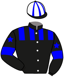 Stall Equicapital