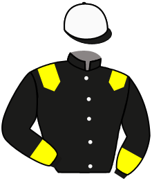 Fernandez L Alvaro