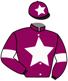 Gigginstown House Stud