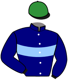 M. Fitoussi
