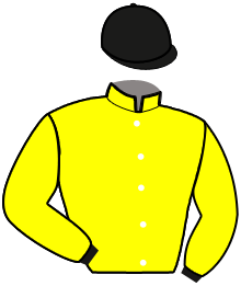 Ecurie Js (Cze)