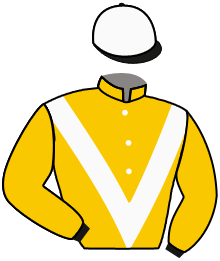 Old Gold Racing 14
