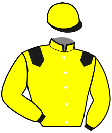 R.j. Robin