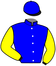 Johansson Horse Racing Ab