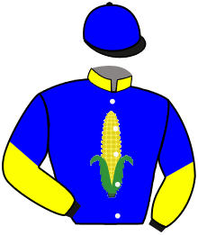 Golden Kernel Racing Stable (Pau