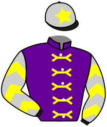 23/24 Caspar Fownes Trainer Synd
