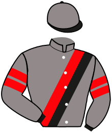 Iab Stables (Ronny Levy)