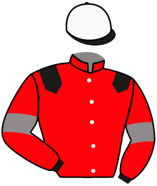 The Venetian Lad Partnership