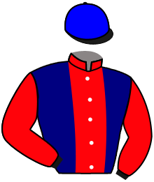 Stonelea Stable Llc & Bonnie Rye