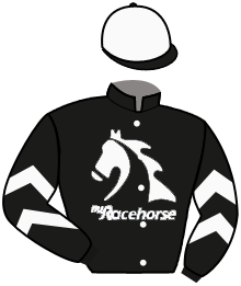Myracehorse