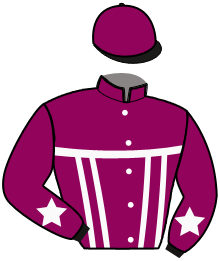 Stall Saalachtal