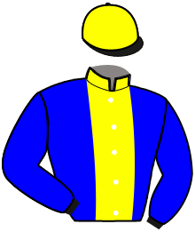 D. Lemetayer