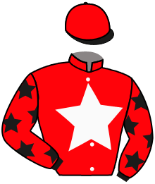 Raleigh Racing Stable, Llc (Stac