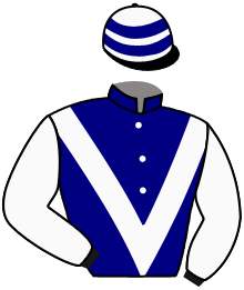 A. Sainjon