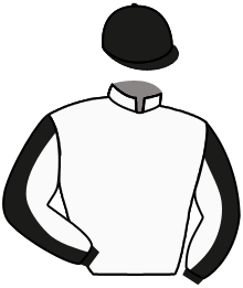 Sport of Kings Racing Partners L