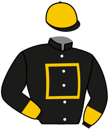 Gold Square Llc