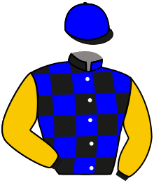 Day At The Races Llc