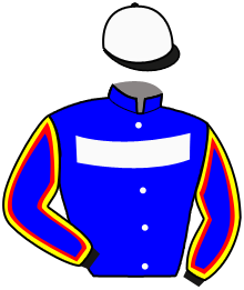 Stal Meiden Van Assum