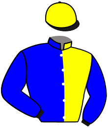 Rising Sun Racing Stables, Inc.