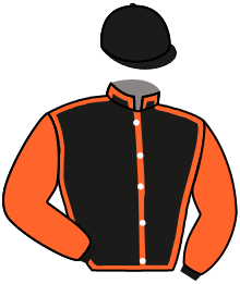 The Horse Watchers 9