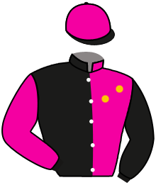 El Brujo Y El Tordo (R*)