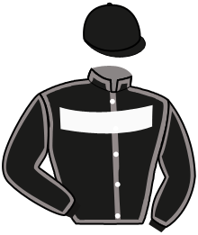 Sambeek Hendrikus
