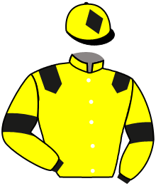 S.ruel/N.dubief/C.dubourg