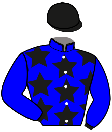 N. Julien