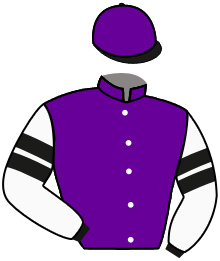 Mast Thoroughbreds Llc (Henry Ma