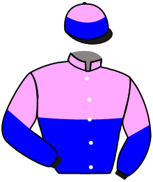 Beauty Viva Syndicate