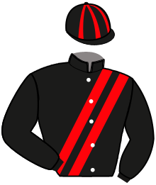 Dahlman Karin