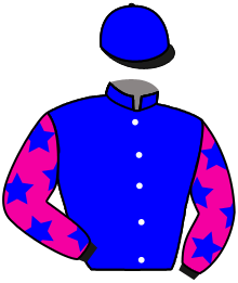 Five Fillies Stable Llc And Bali