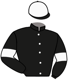 Vicente Stella Stables Llc And G