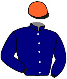 Chauvigny Global Equine S