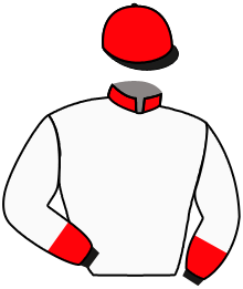 Rm18 Stable, Llc (Isabel Montiel