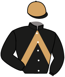 Mlle M. Le Bourhis