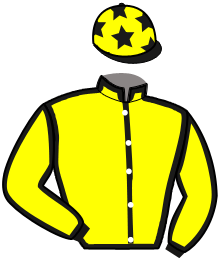 Mickaël Plinguier