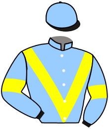 Manor Stable Llc