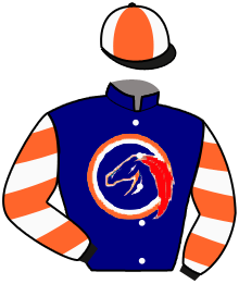 Old Bones Racing Stable, Llc (An