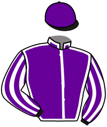 Winchell Thoroughbreds Llc, Magn