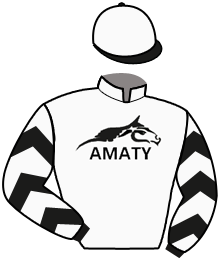 Amaty Racing Stables, Inc. (Denn